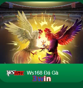 3win